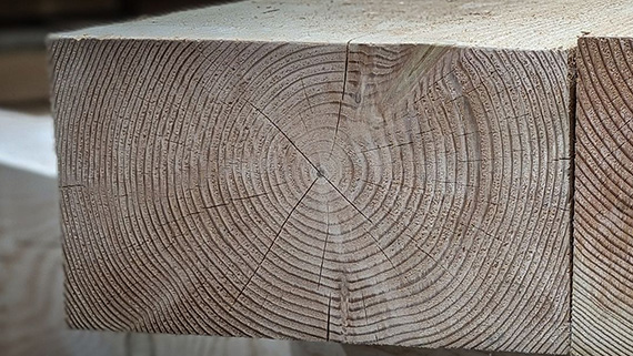 Boxed heart timber